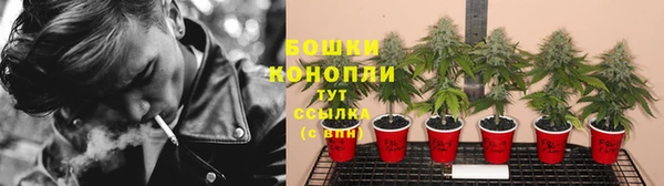 эйфоретик Верея